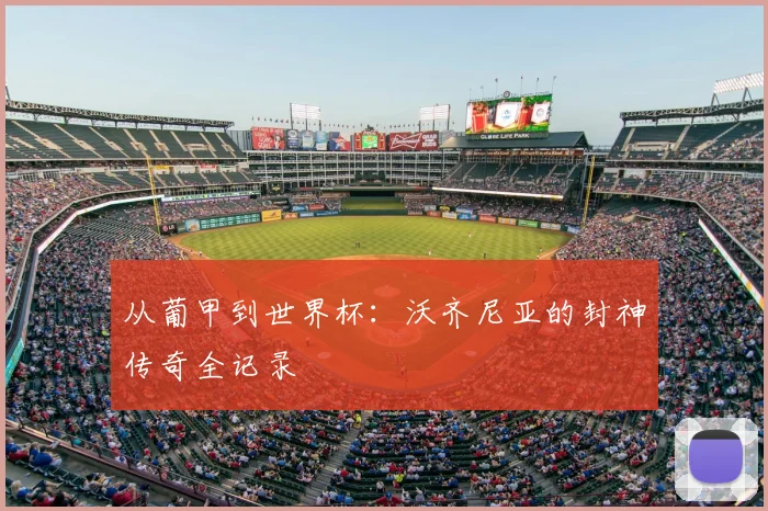 从葡甲到世界杯：沃齐尼亚的封神传奇全记录