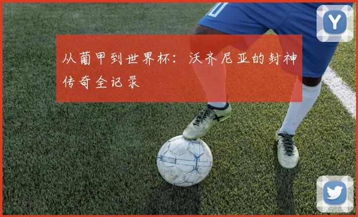从葡甲到世界杯:沃齐尼亚的封神传奇全记录
