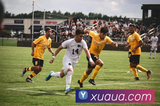 App功能展示图